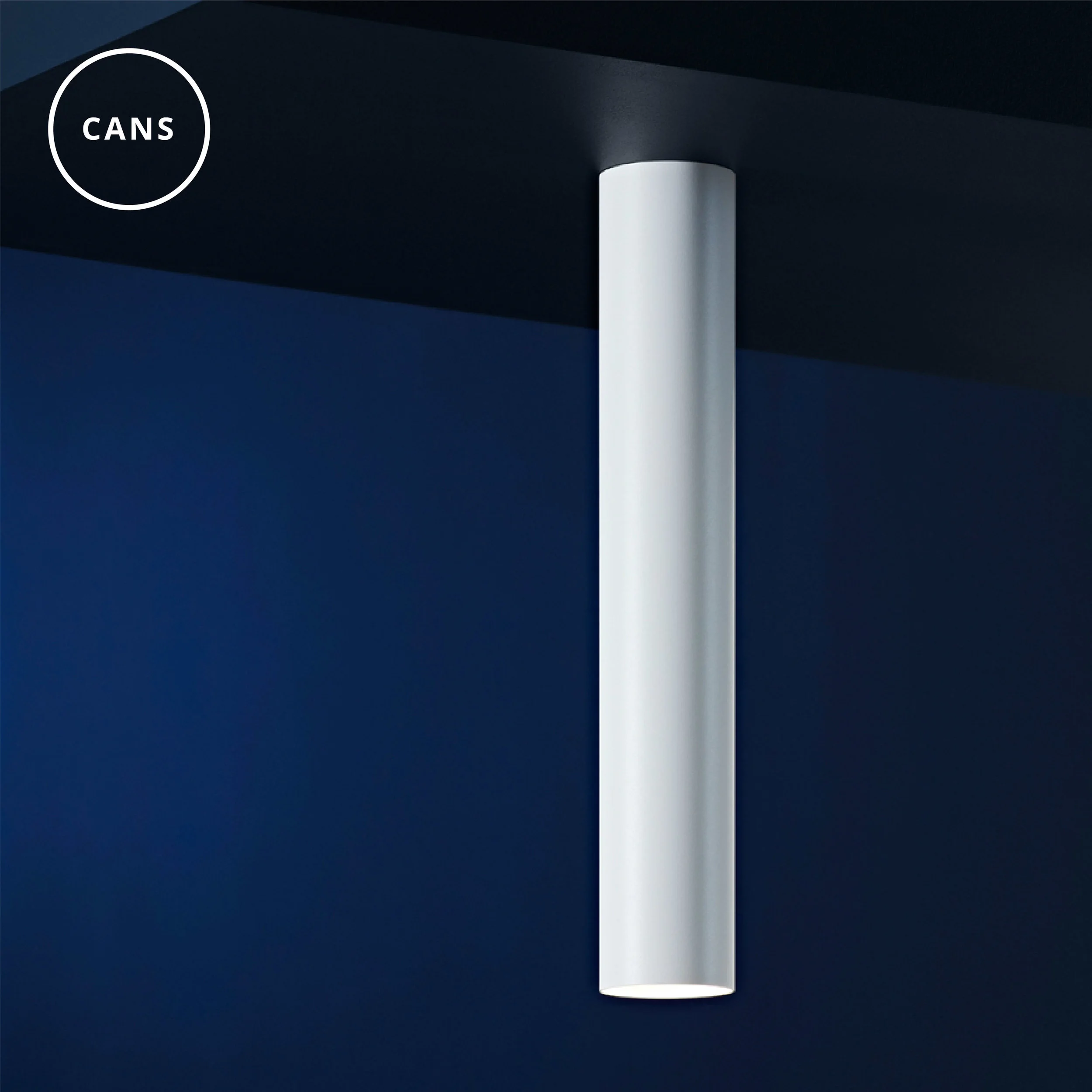 ISM_Objects_Cans100 White_Ceiling-01.jpg