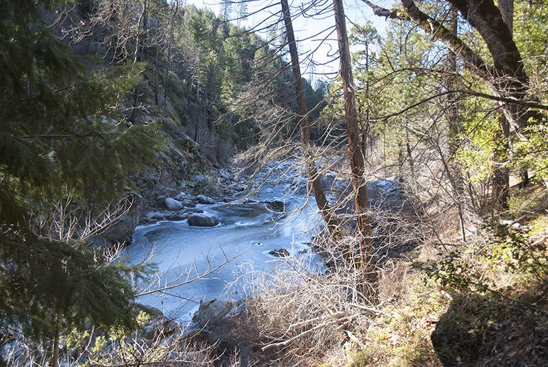 The interplay of sunlight and ice on the American River
