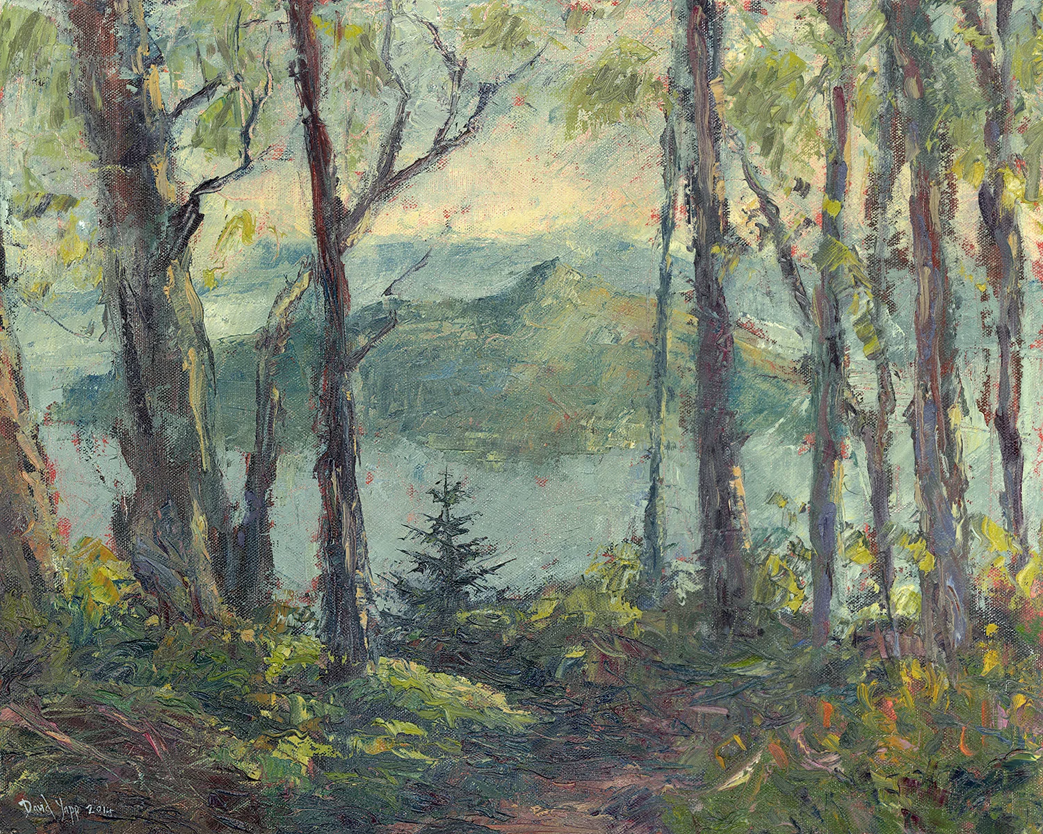 Angel Island Through the Eucalyptus Trees