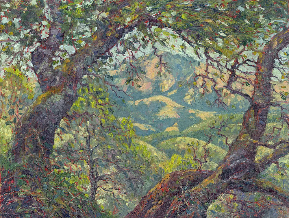 The View from Azalea Hill