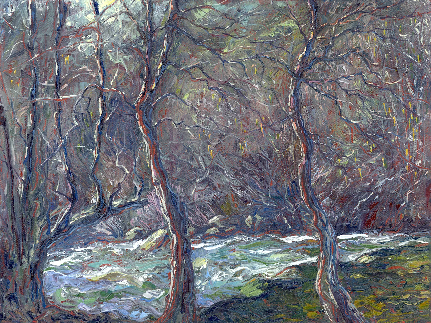 White Alders on the Consumnes River
