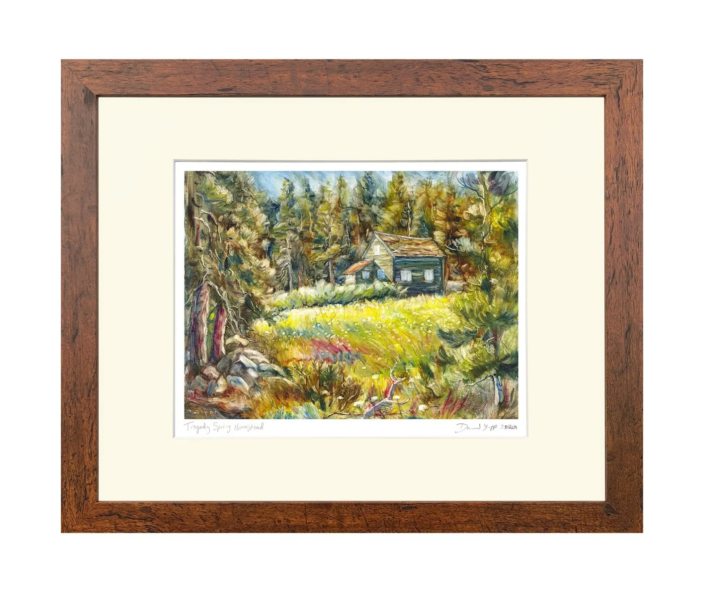 Tragedy Spring ©David Yapp