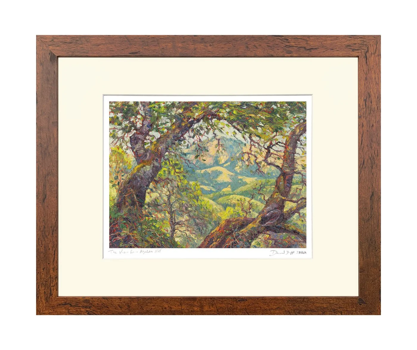 The View from Azalea Hill ©David Yapp