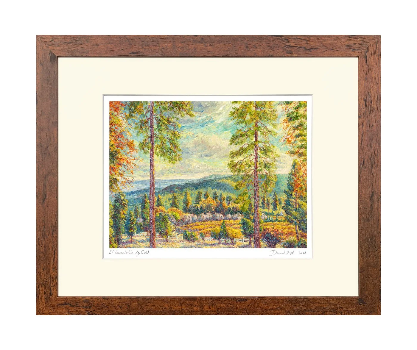 El Dorado County Gold ©David Yapp