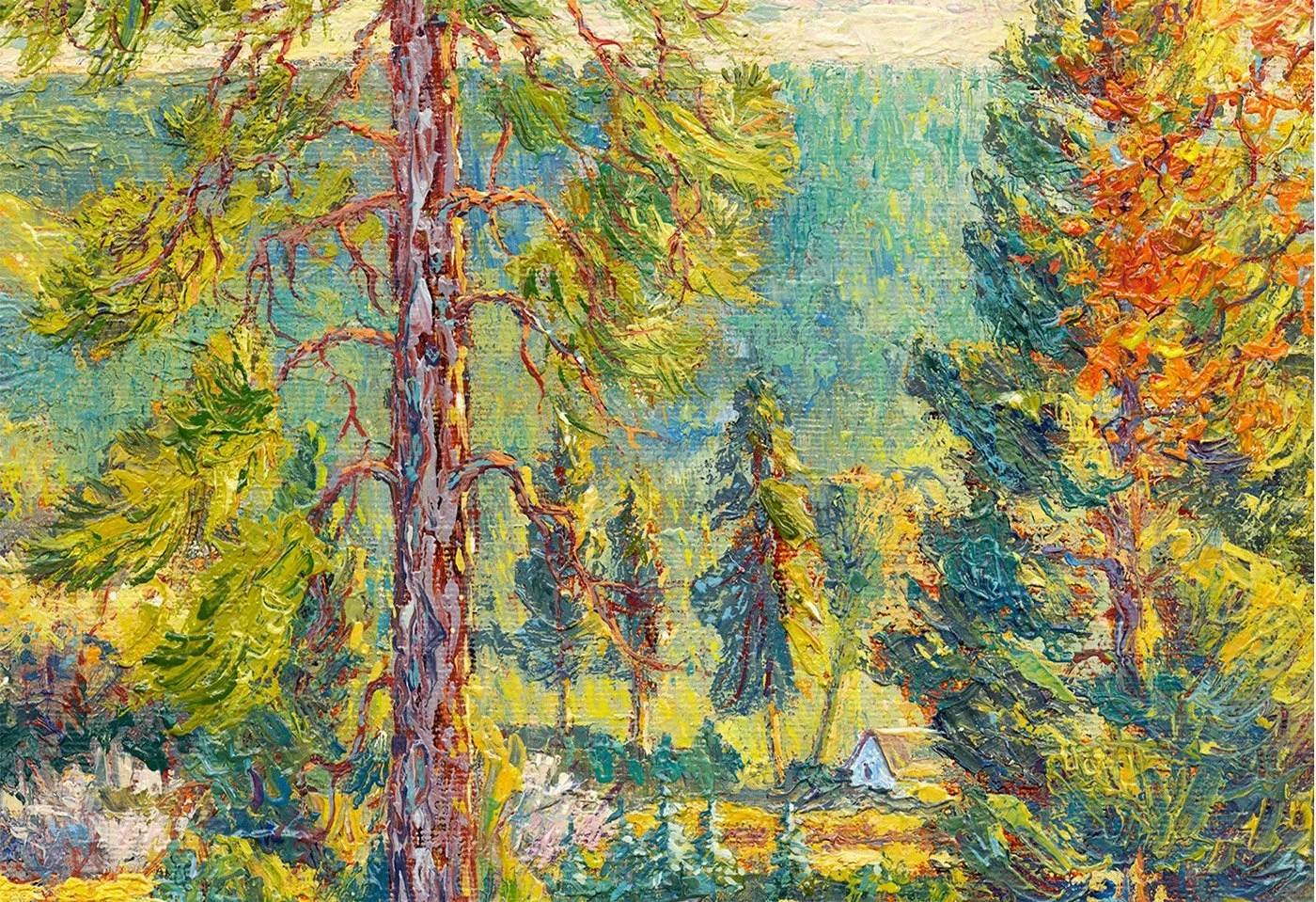 El Dorado County Gold ©David Yapp