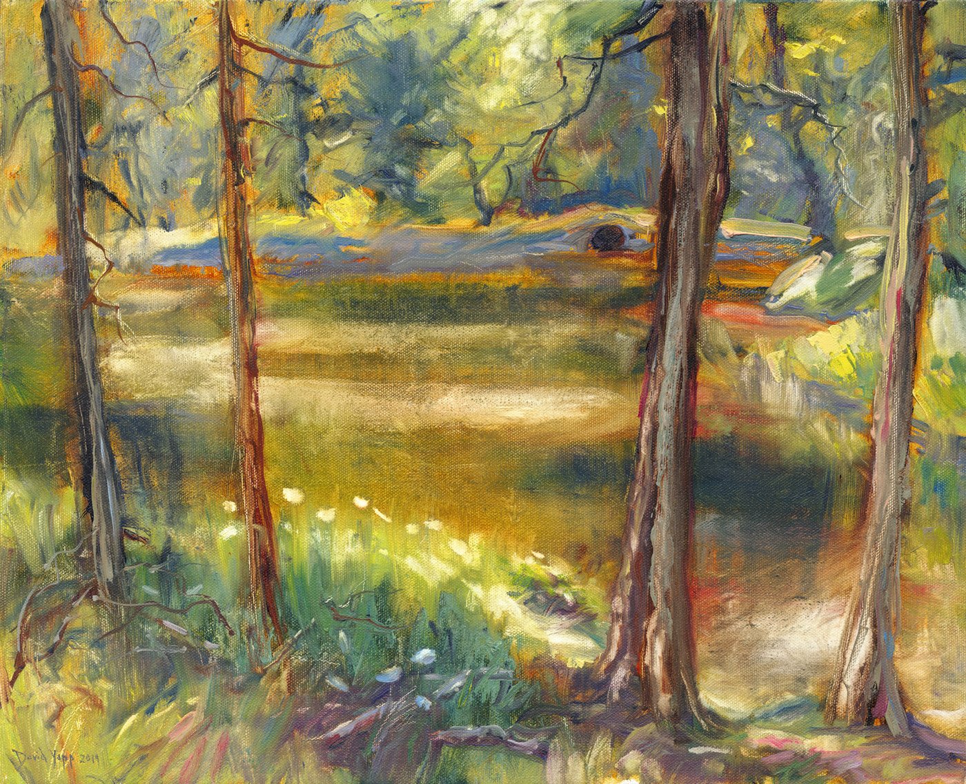 The Shaded Pool