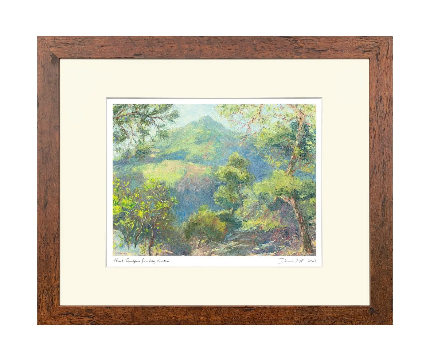 Giclee-Prints-in-16x20-frame-Mt-Tam_from_King-w-white-border.jpg