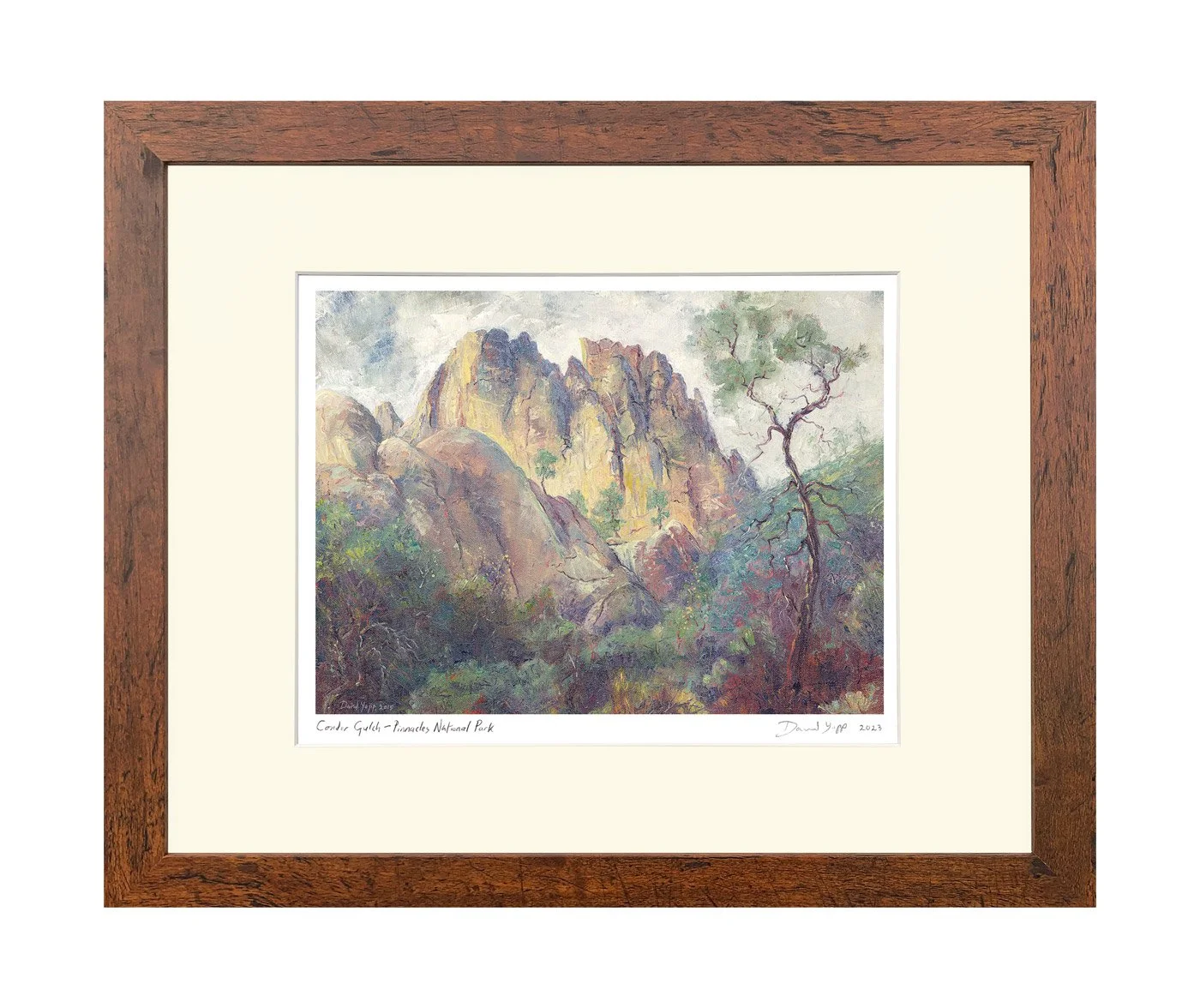 Giclee-Prints-in-16x20-frame-Pinnacles-condor-Gulch-w-white-border.jpg