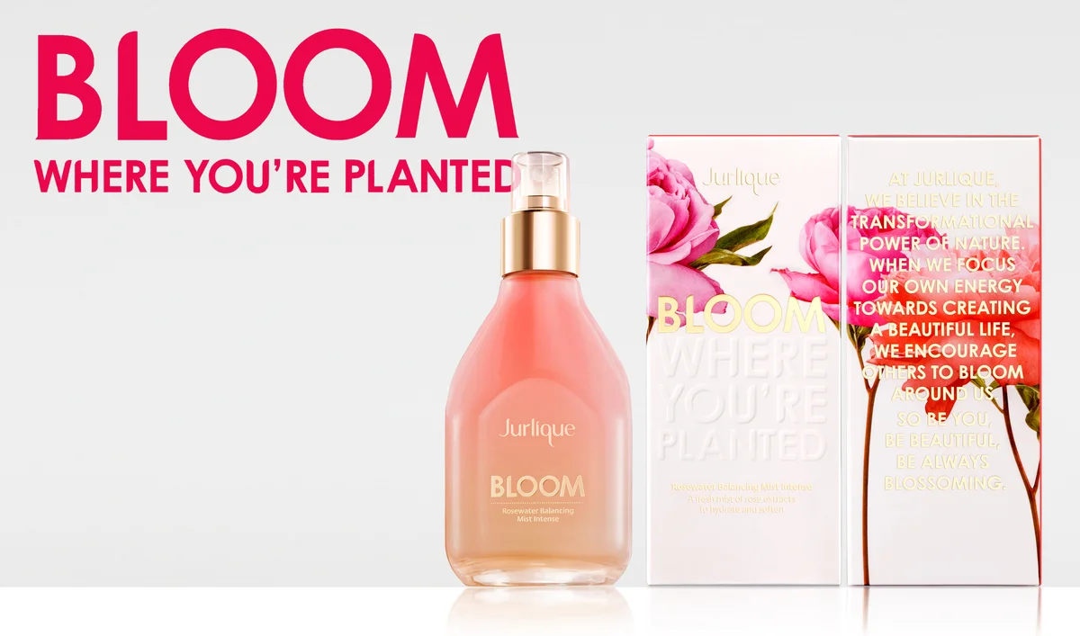 bloom-cartons.jpg