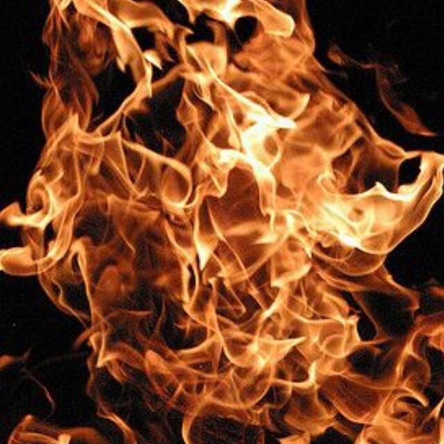Most days this week I&rsquo;ve tried to donate to a different 💔🔥 charity. I feel so helpless and that I wish I could do more. But I also try to remind myself that every tiny effort adds up. Like putting pressure on idiotic short-sighted governments