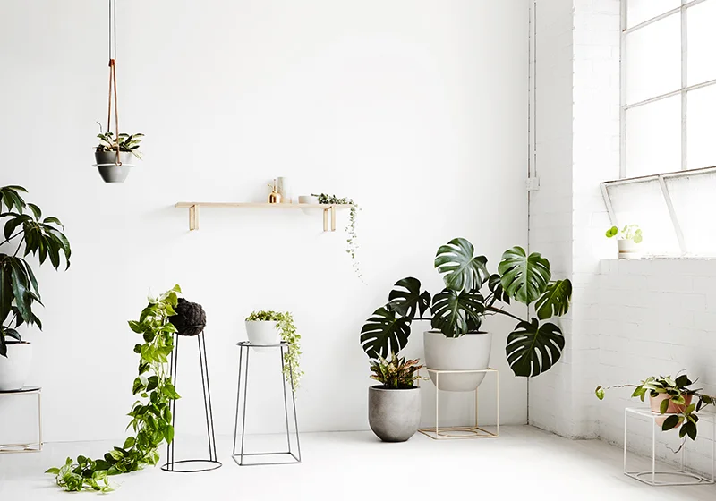 Photography by Annette O’Brien, Styling by Alana Langan.