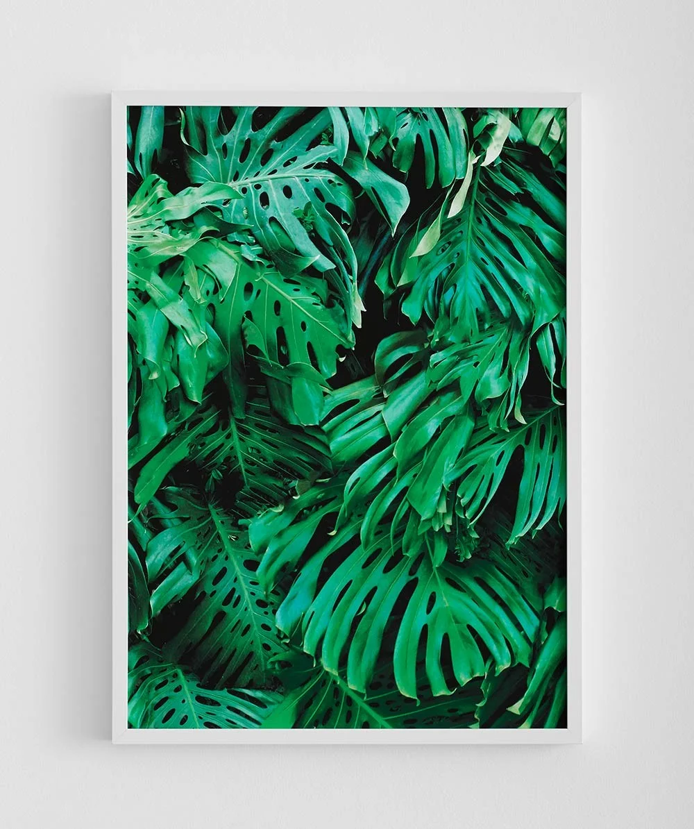 MR FANCY PLANTS MONSTERA PRINT - RRP $195.00