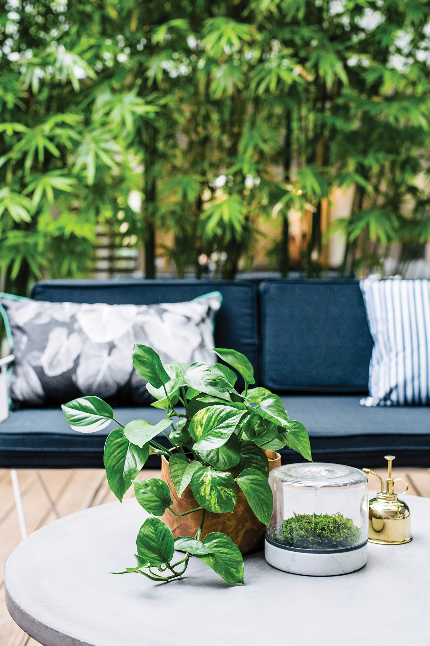 Planted Magazine - Photographer: Hannah Blackmore - Stylist: Alana Langan