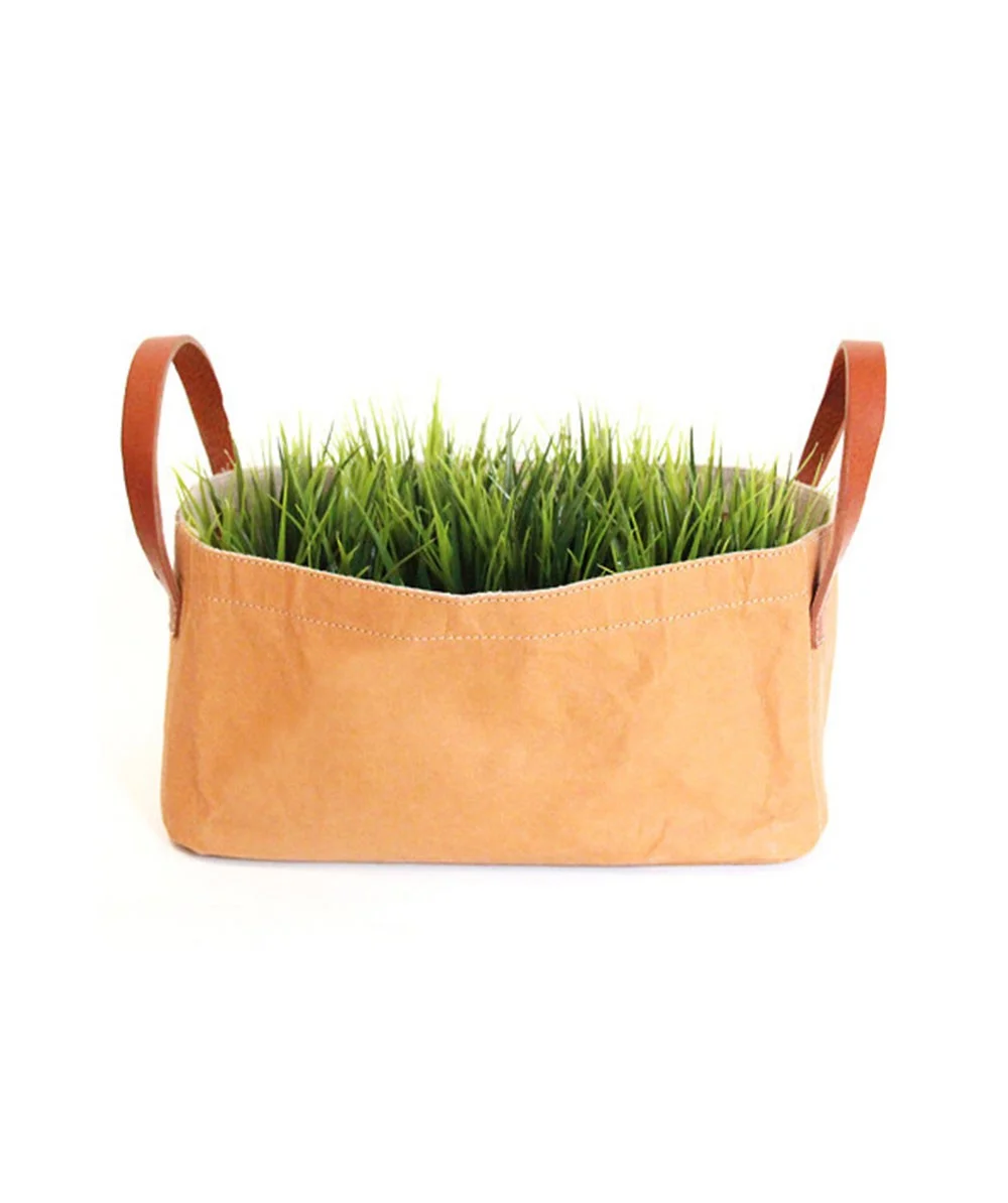 Paper Box with Handles - Hunting for George