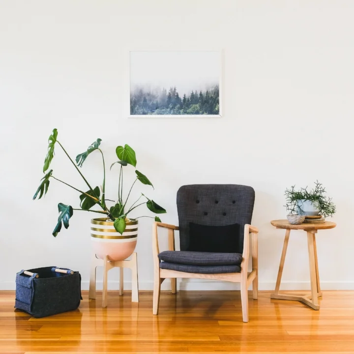 Toast & Honey Studio