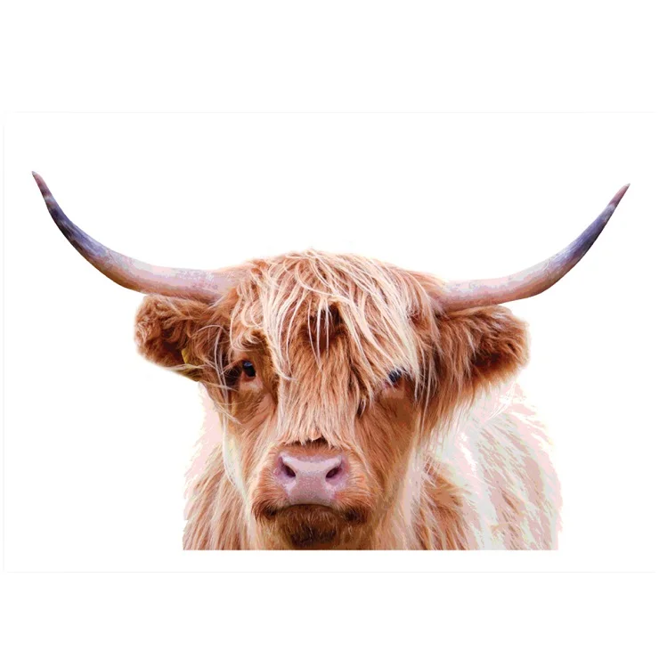 Temple & Webster - Highland Cow 3 Printed Wall Art