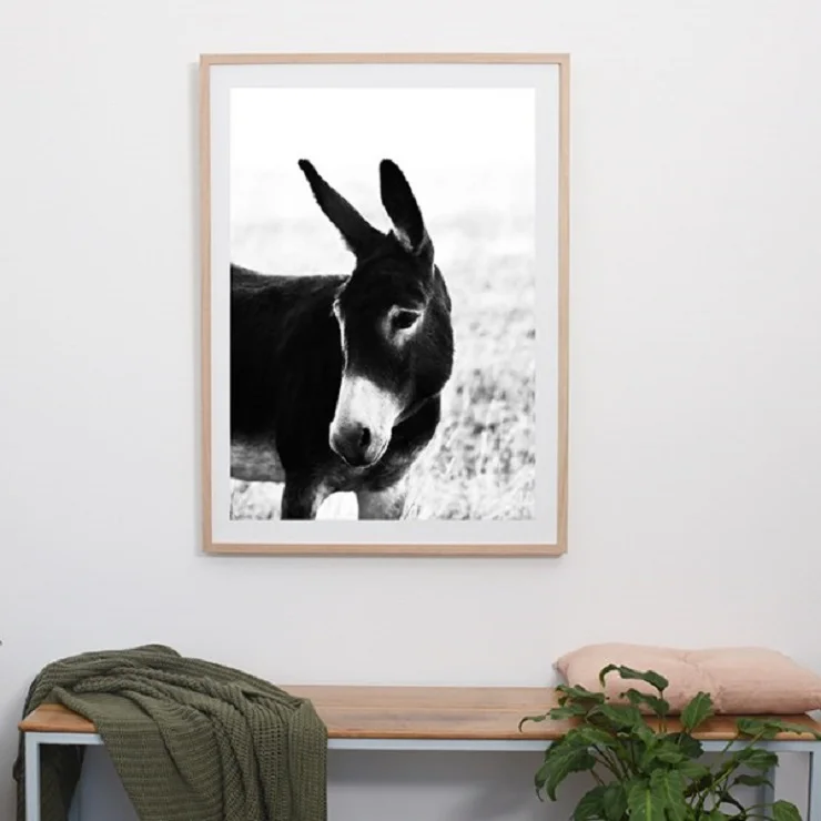 CS Photographic + Art - Walter