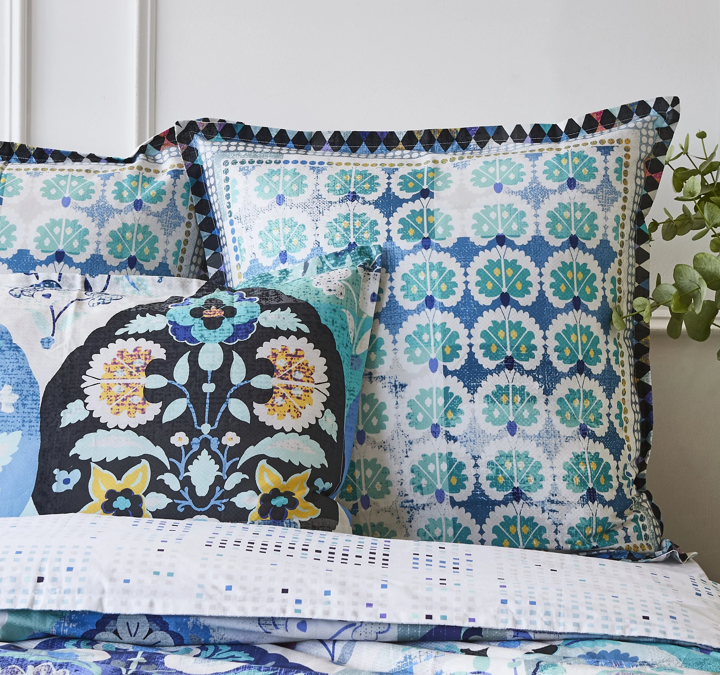 Eva Teal Euro Situ -rt.jpg
