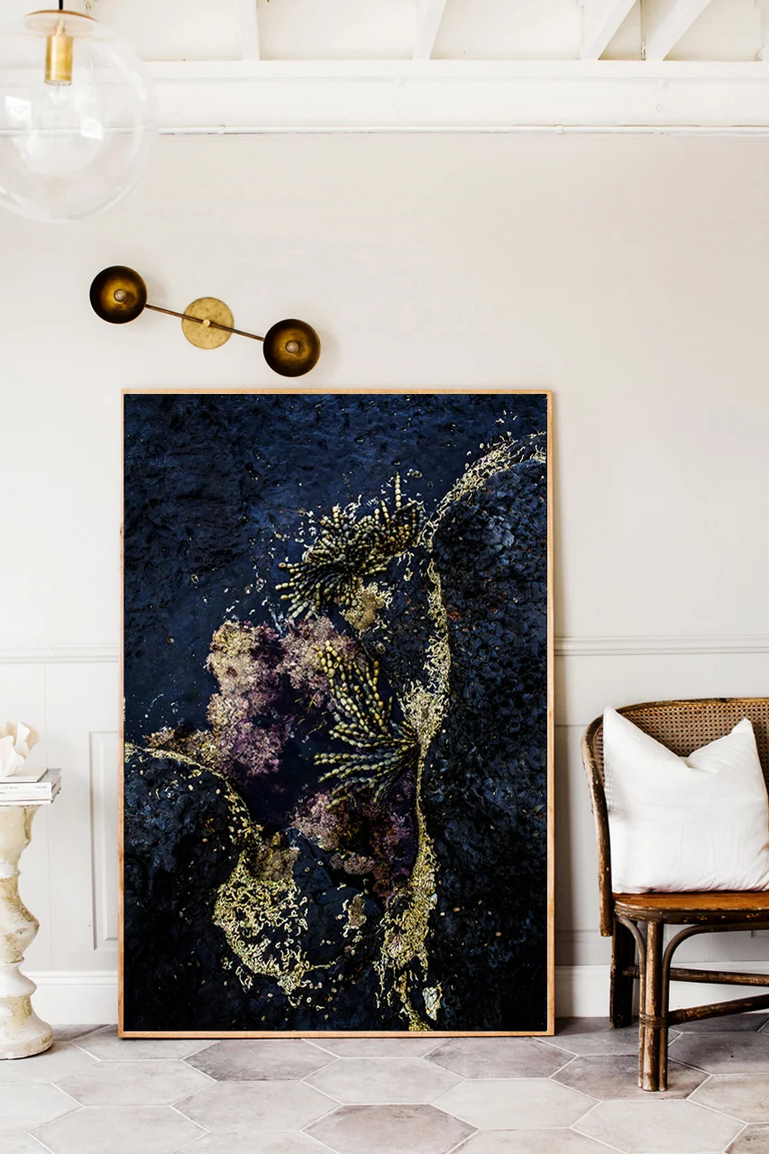 New in Art - Kara Rosenlund returns to Satellite Island for her latest collection