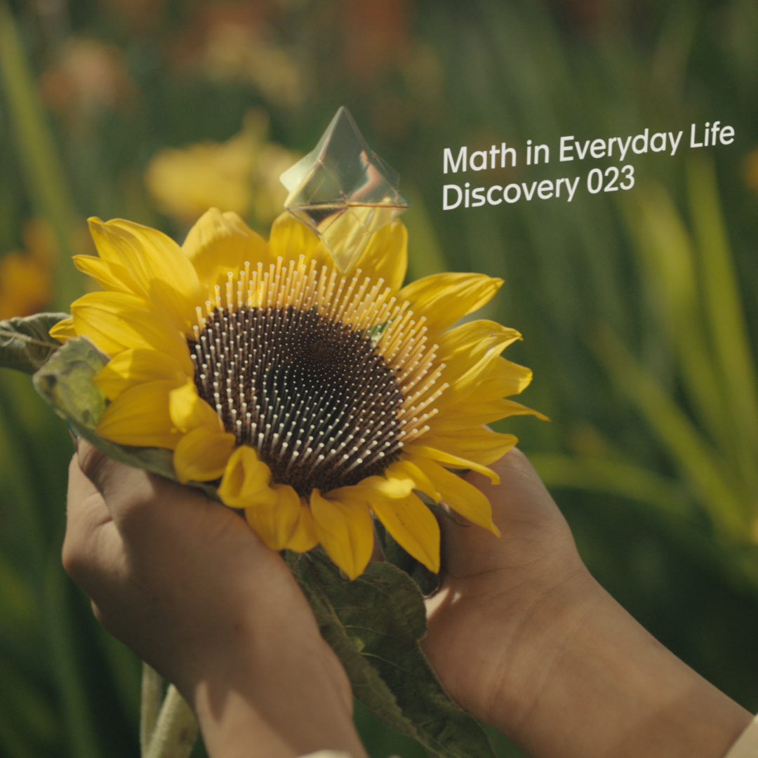 Math In Everyday Life Merged.png