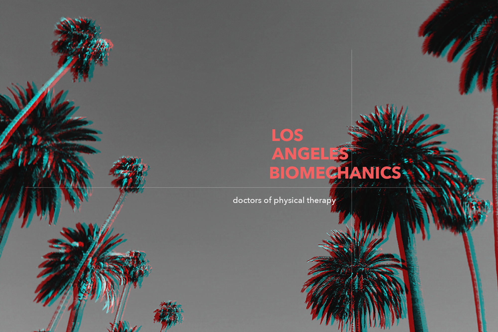 The Lab Doctors Of Physical Therapy, Dtla