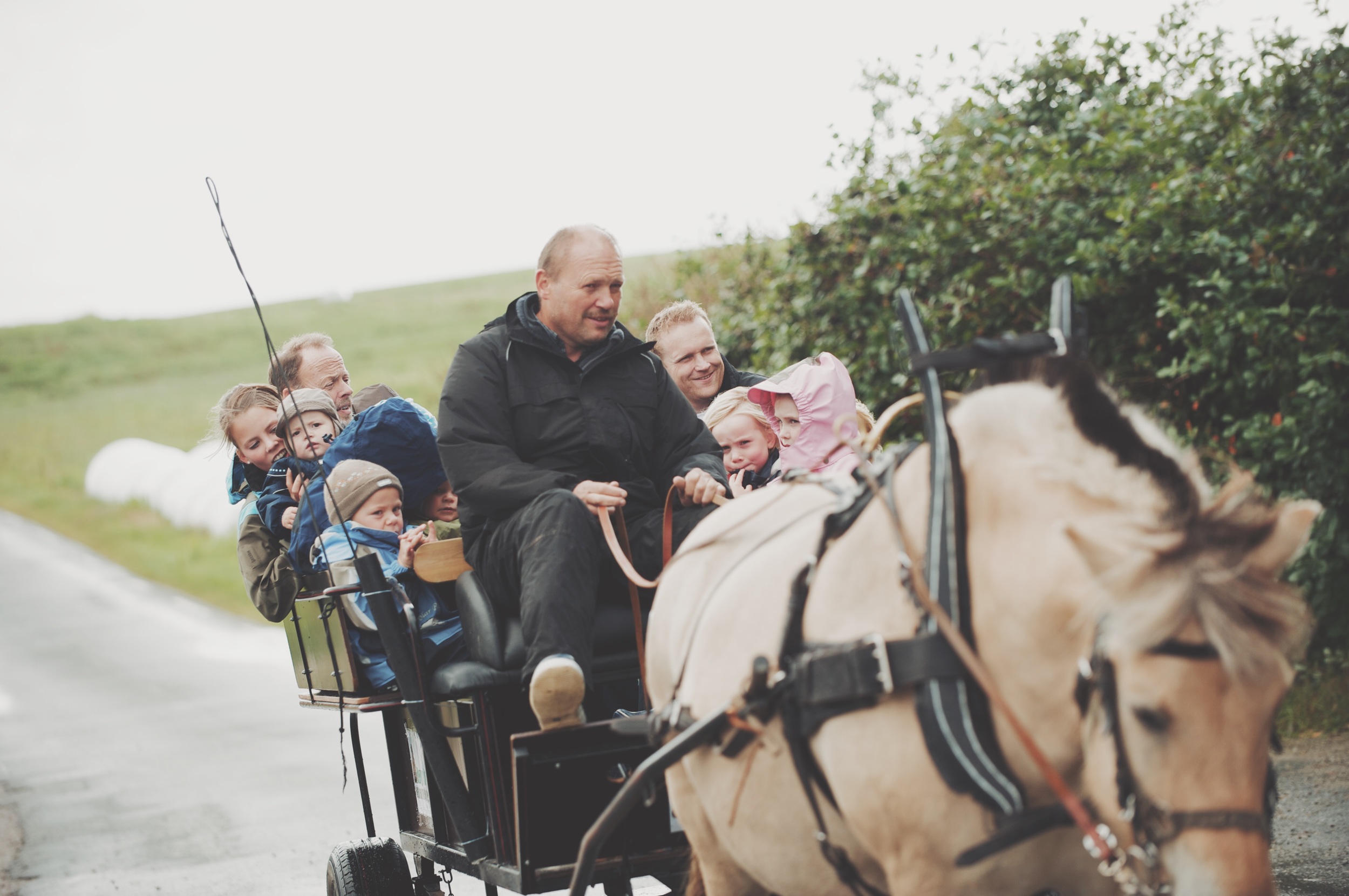 RLI_1129 korrigert_LUT_converted.jpeg