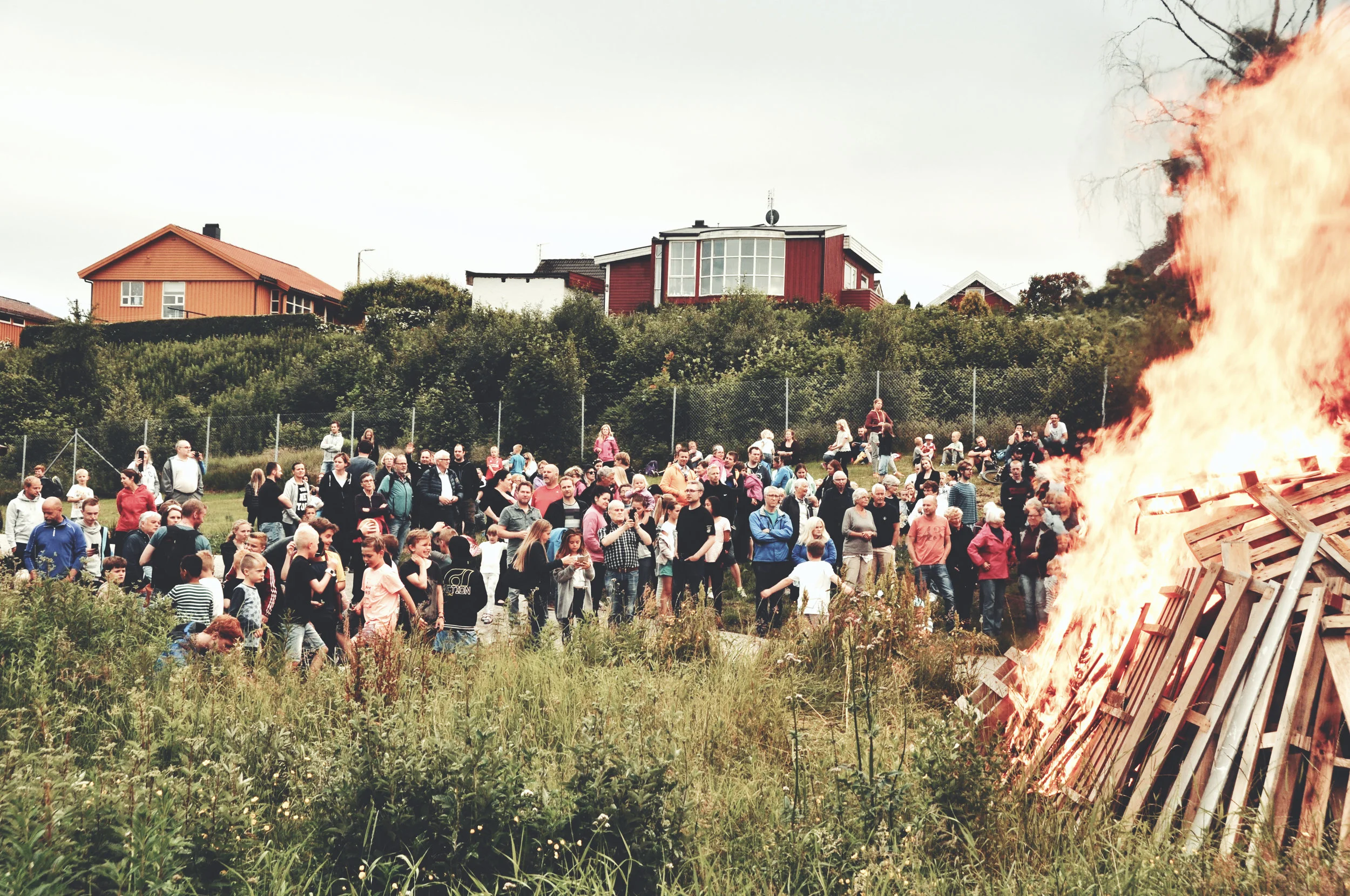 DSC_0227 (1)_converted_converted.jpeg