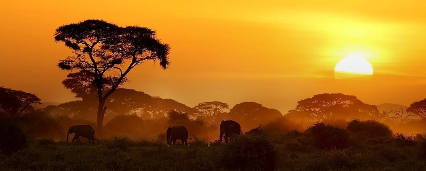 Kenya.jpg