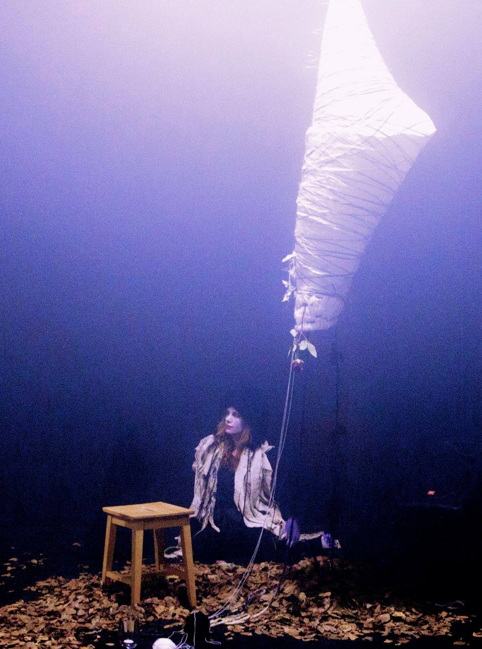 Love & Other Ecologies, 2014