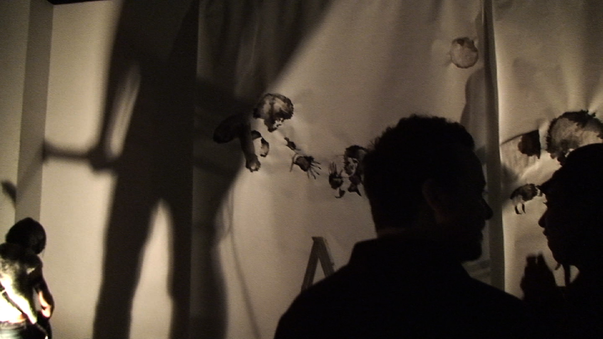 Strange Inhabitants, 2009