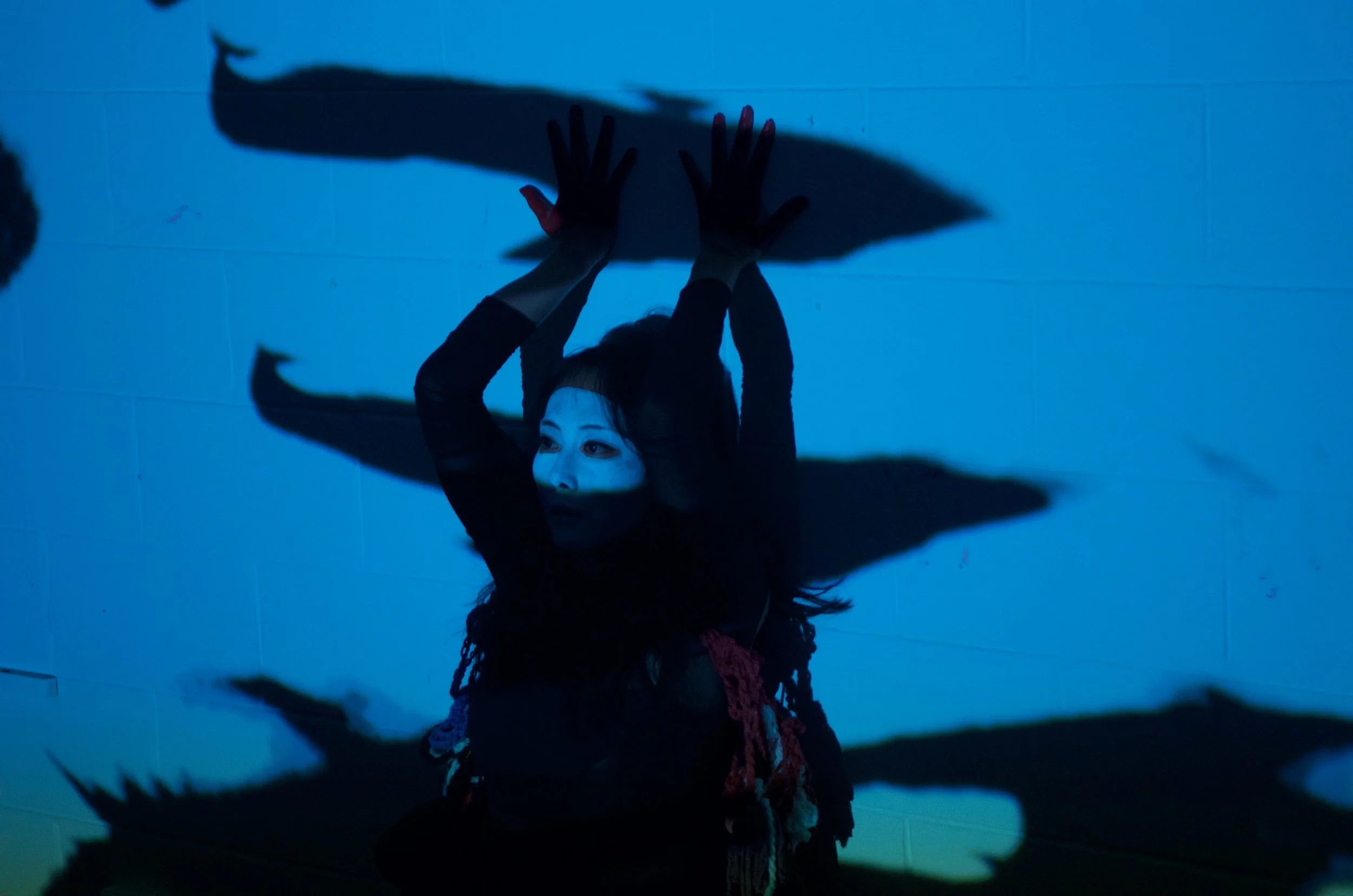 Tactilus Umbravi @BARI Festival 2016