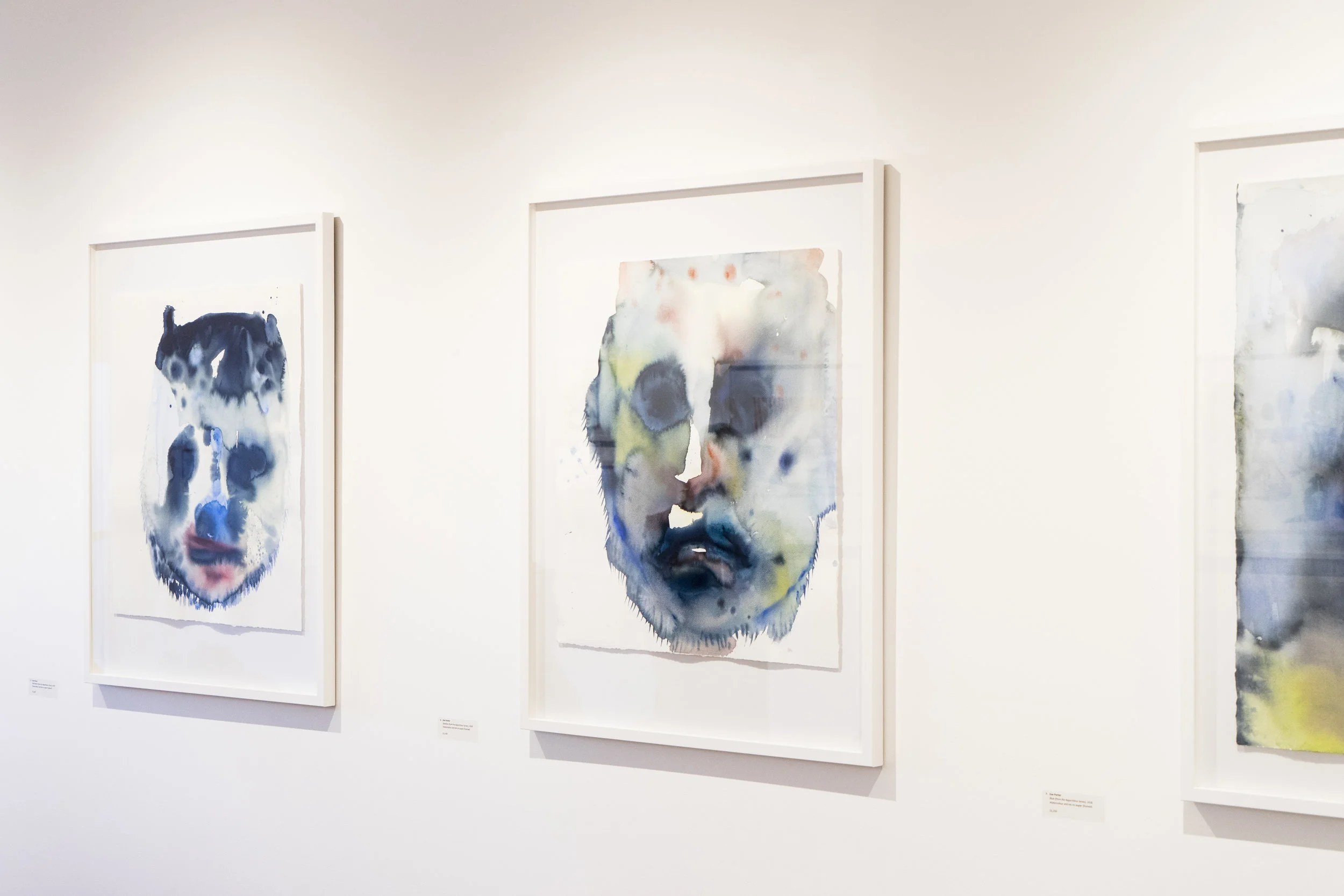 Apparitions Series 2018