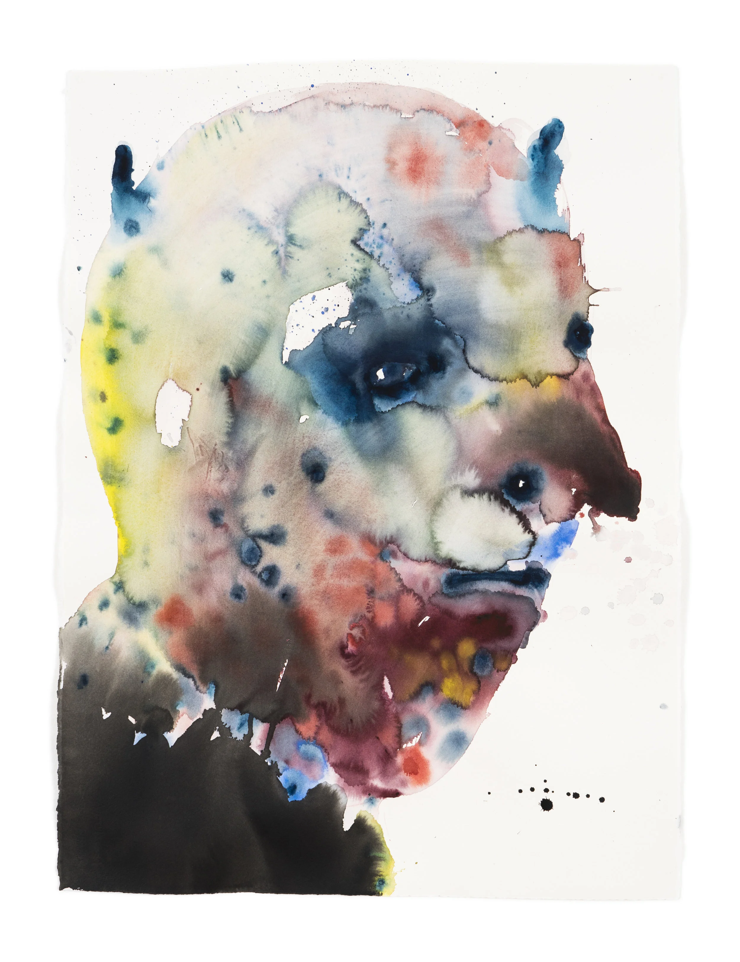 the swindler/apparitions series 2018