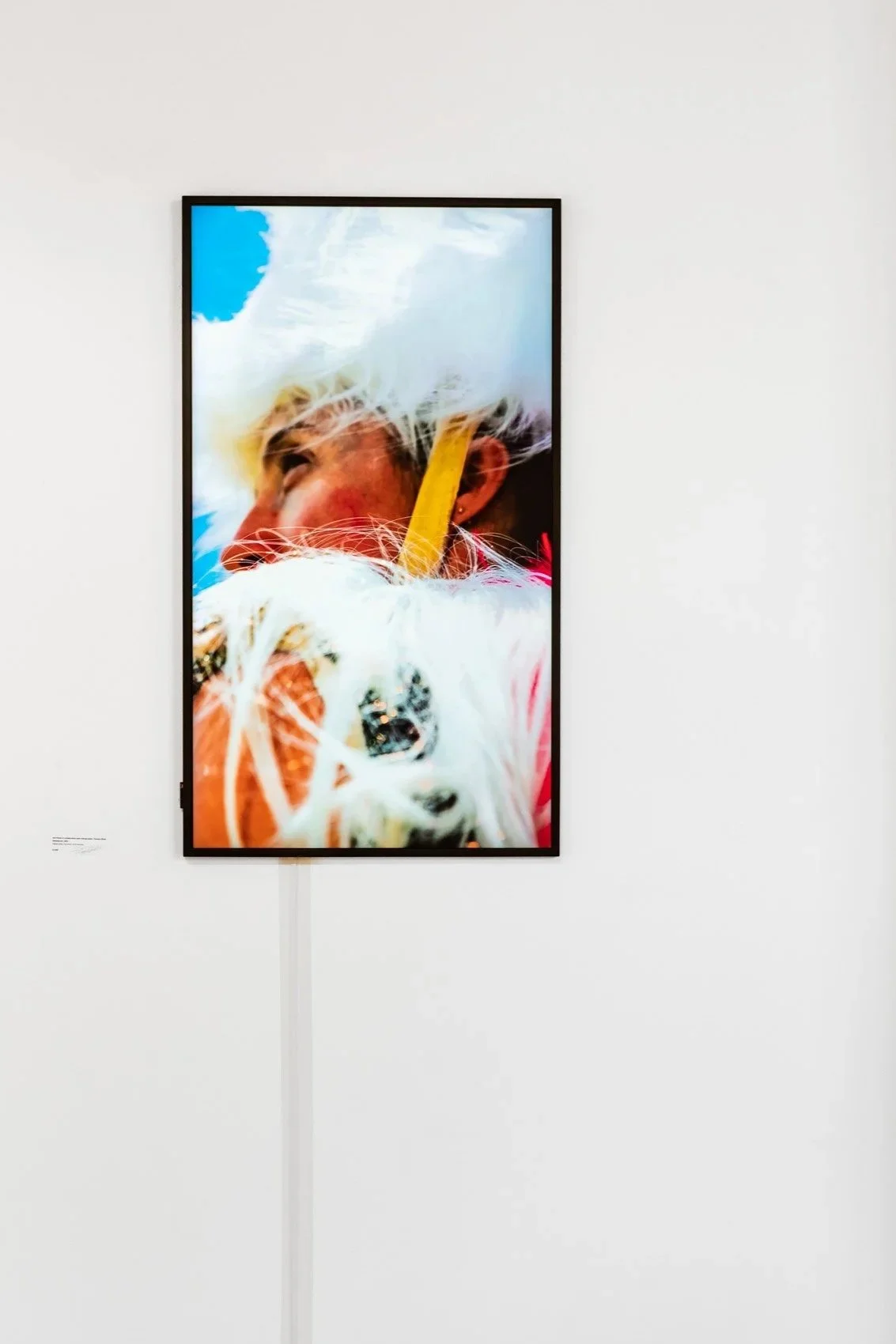 Metamorph (video) Zoe Porter, Thomas Oliver (videographer), Billie Wilson-Coffey (performer)