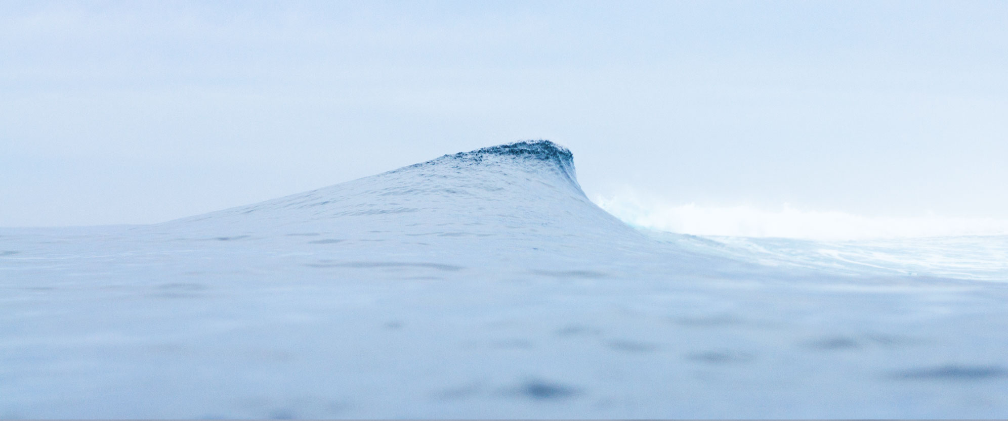 salty-surf-banner.jpg