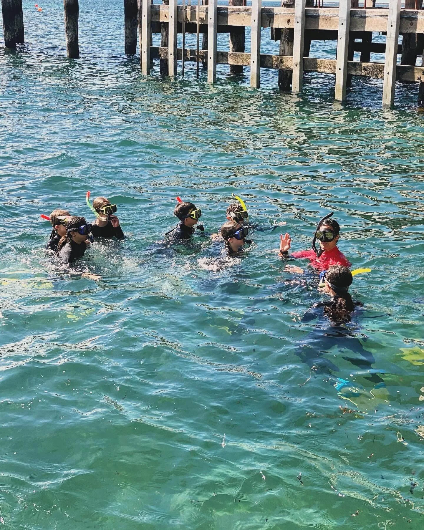 Students snorkelling and having fun in the waters of Australia