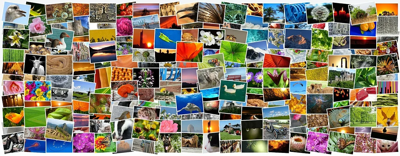 Discussion Group December