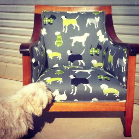 dog-pattern-chair-jute-upholstery-canberra.png