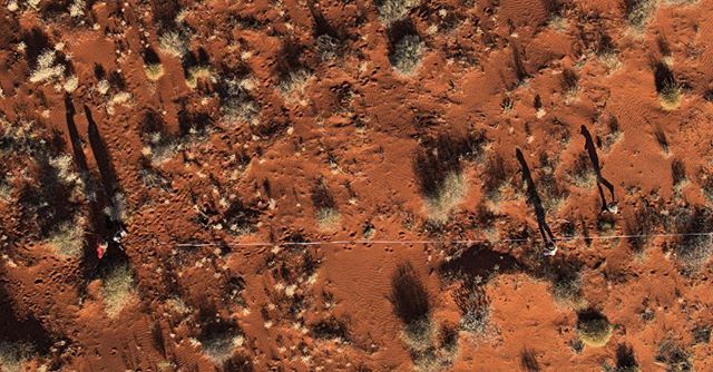 “Study the science of art. Study the art of science. Develop your senses- especially learn how to see. Realise that everything is connected to everything else.”
.
.
.
#ProjectOZscav #science #scicomm #edchat #education #filmmaking #discover #outdoors #australia #desert #stories #landscape #dji
.
@bushheritageaus