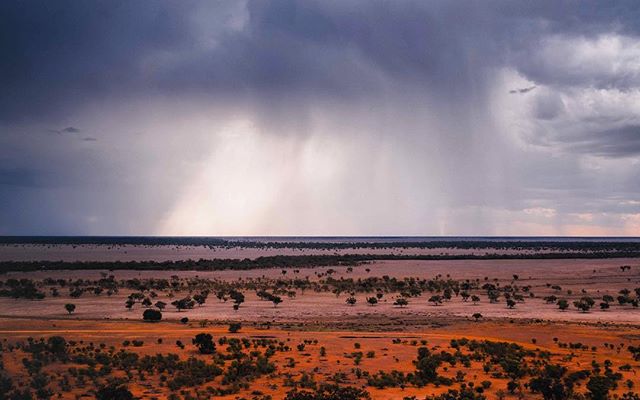Today we travelled over 1200km in order to make some good headway in reaching our final destination, the Simpson Desert.
We were also a witness to what can only be described as a magical display of thunder, lighting and heavy rains, rains sorely needed in the Outback of Australia.
Tomorrow we continue north-west as we draw closer to supporting Emma and the team in pursuit of science, discovery and communication.
📷 @hayden.griffith
.
.
.
#projectozscav #science #scicomm #edchat #education #filmmaking #optoutside #discover #outdoors #australia #stories #outback #thunderstorm #dji
.
.
@bushheritageaus @australiangeographic