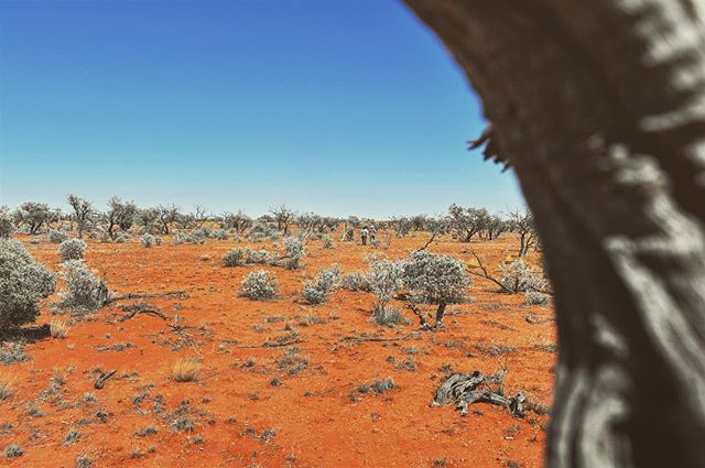 &ldquo;Extrinsic motivations (family outings as a child in nature) have driven me to my intrinsic motivations (to become a scientist).&rdquo;
~ Emma the Scientist
.
.
.
#projectOzScav #science #scicomm #filmmaking #outdoors #australia #desert #storie