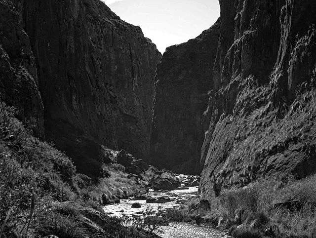 Cave creek flows perennially through Clarke Gorge from the Blue Waterholes 1km upstream. The spur has a flat top, which along with a number of similar relict features in the gap and in the Goodradigbee valley, belongs to a former valley floor leading outwards and gently downwards from the flat interfluves of Cooleman Plain.
Once covered by a shallow sea, we were excited to be taking a step back in time in order to follow this journey of water from the treeless plains through to limestone gorges, caves and subterranean rivers.
🎬 link in bio
#anytimeanyspace
.
.
#elearning #education #science #explore #adventure #outreach #nature #discover #filmmaking #getoutstayout #film #scicomm #rock #optoutside
.
.
@tourismnsw