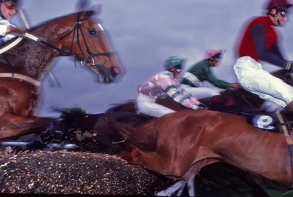 Steeplechase, A Day in the Life of Ireland.