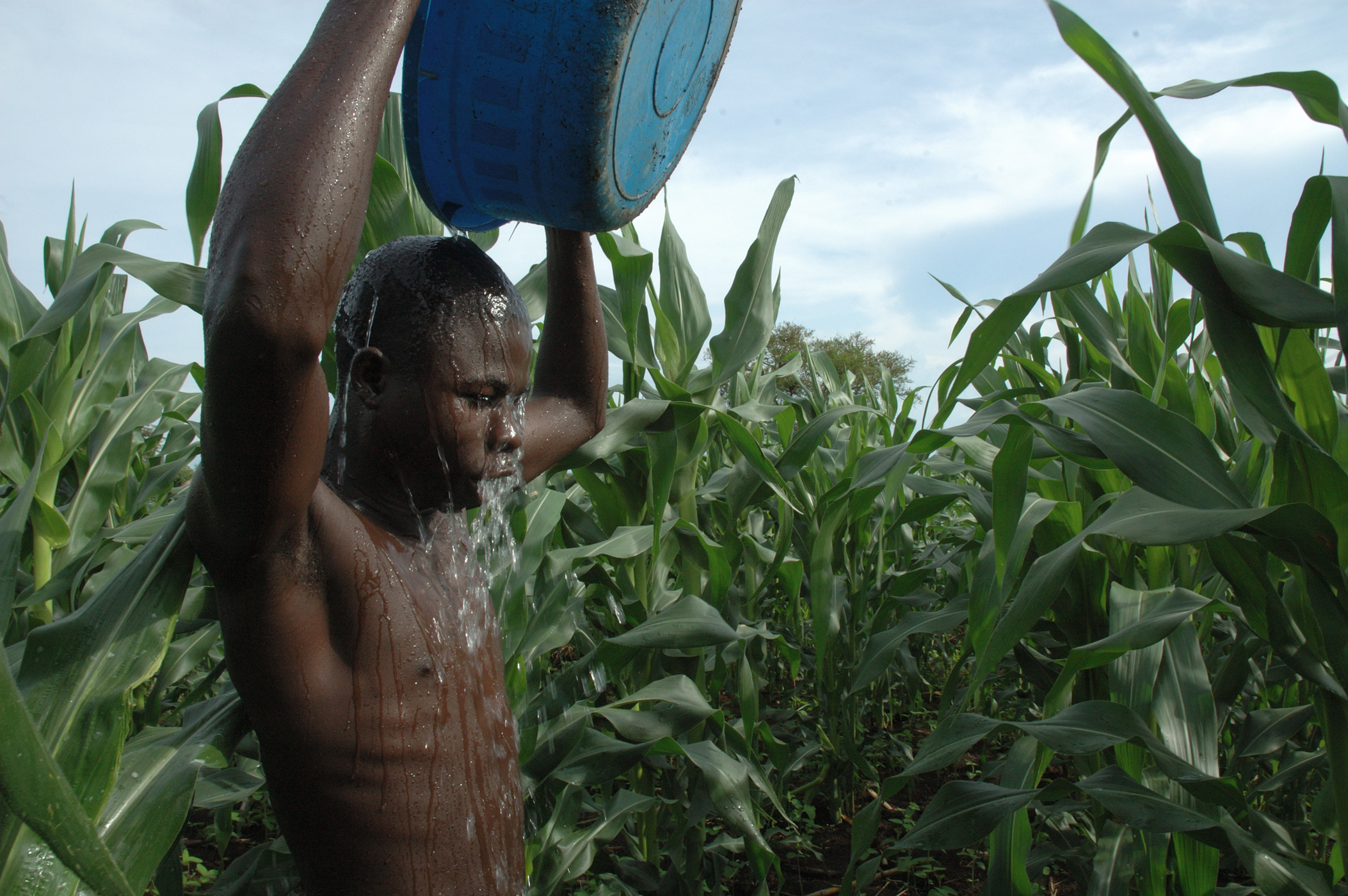 Margaret's husband washing after working in the corn plot.
