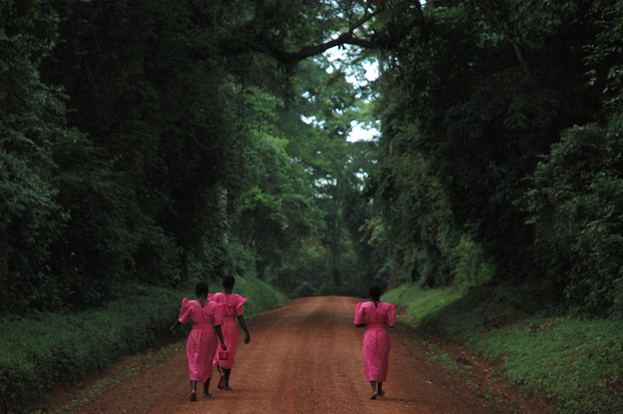  Girls walking to school. 