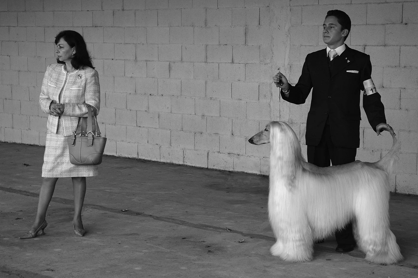 Dog show, Buenos Aires, 2005.