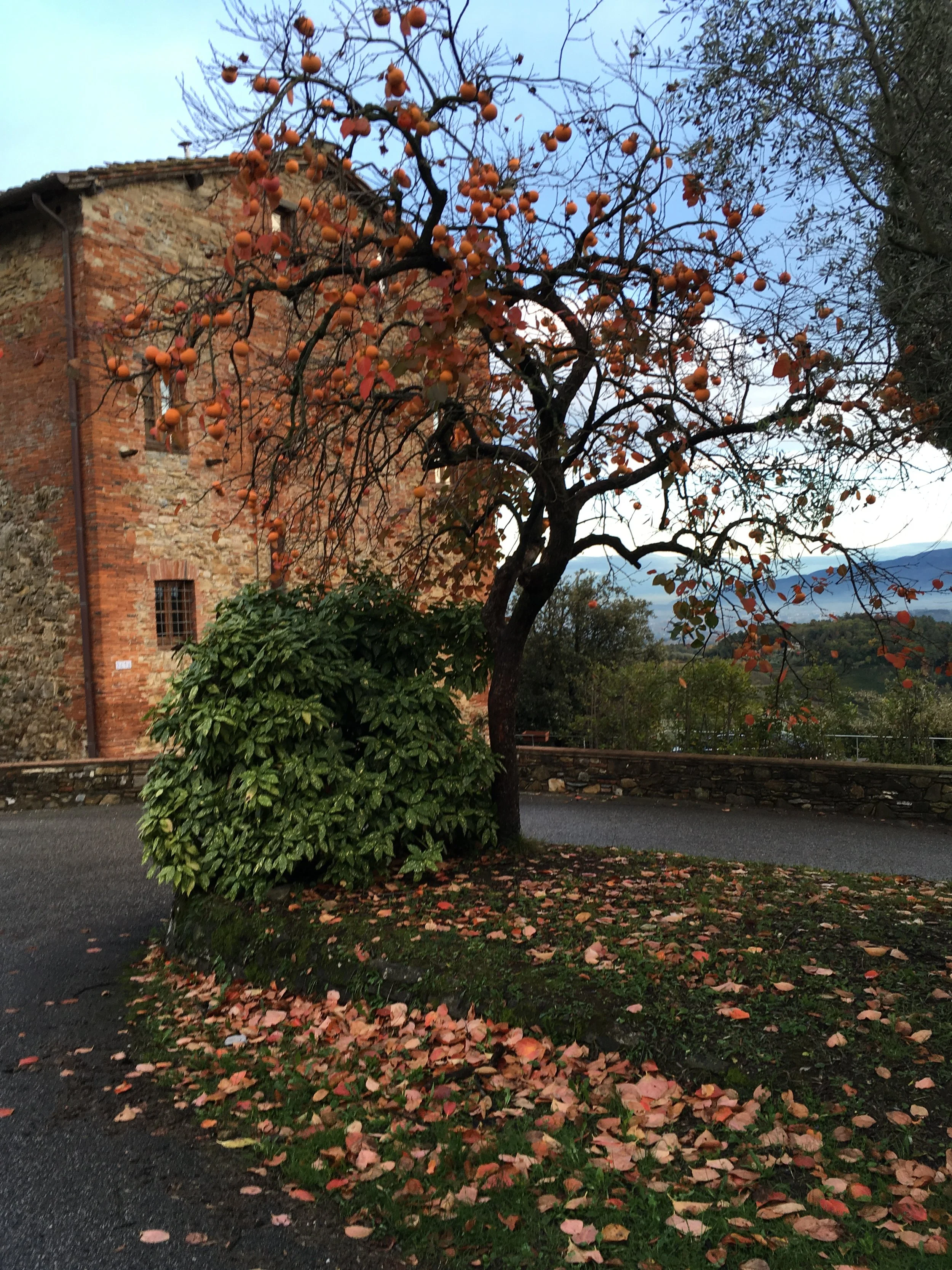 Morning workshop skylight studio 20, Shepheards Close, Aylsham Business Estate, NR116SZ