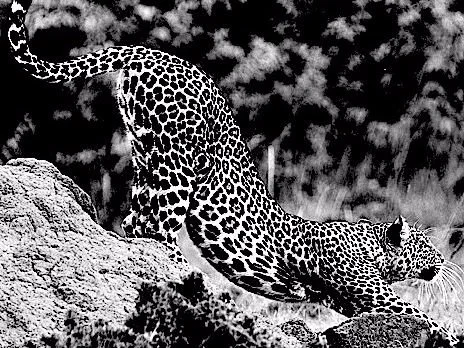 DAY YOGA WORKSHOP COSTESSEY CENTRE, LONGWATER LANE, COSTESSEY, NR85AH