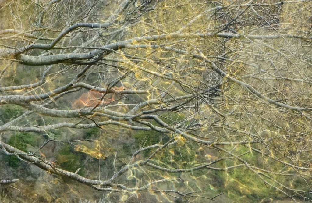 EXPLORING THE WORK OF VANDA SCARAVELLI WEEKEND YOGA RETREAT