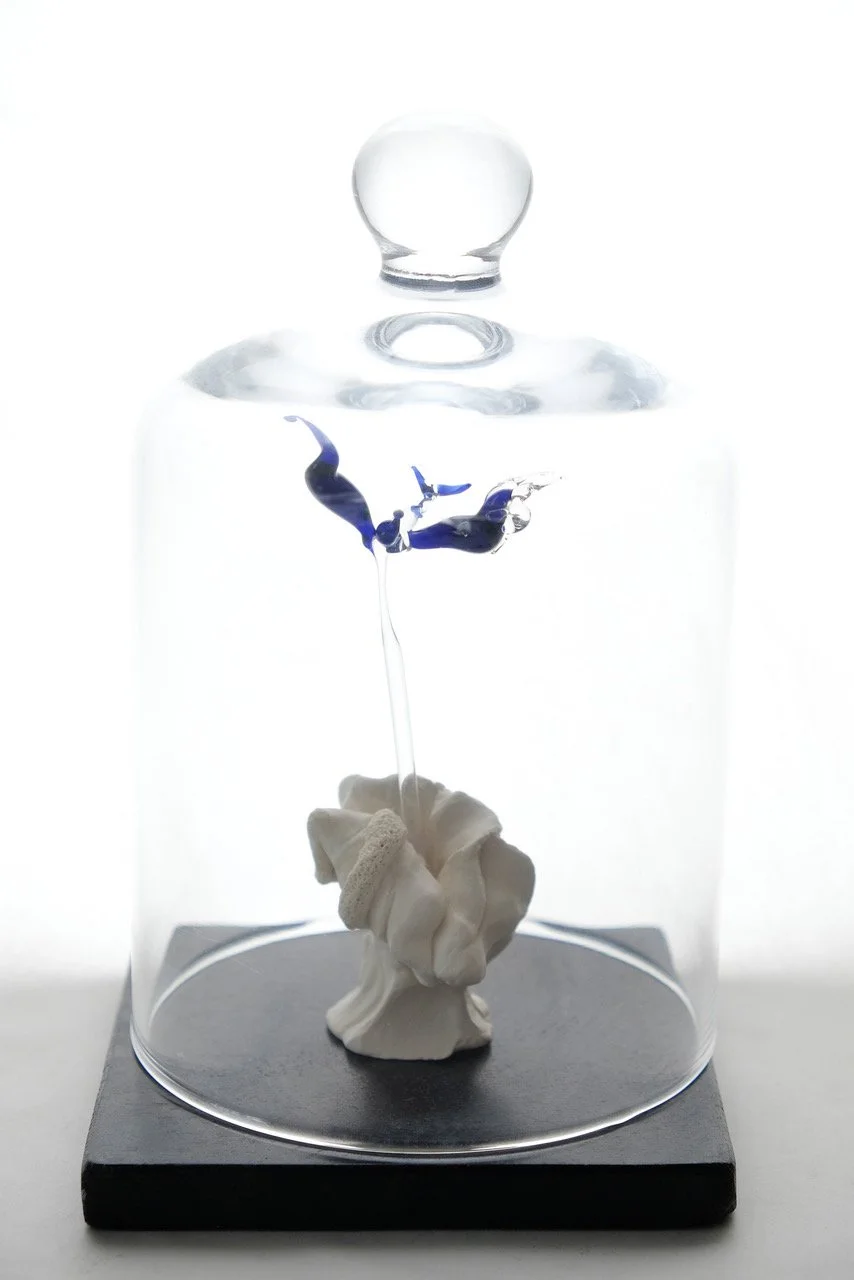 Perfume Bottle Series